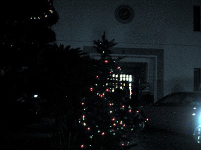 d0031853_1310394.jpg