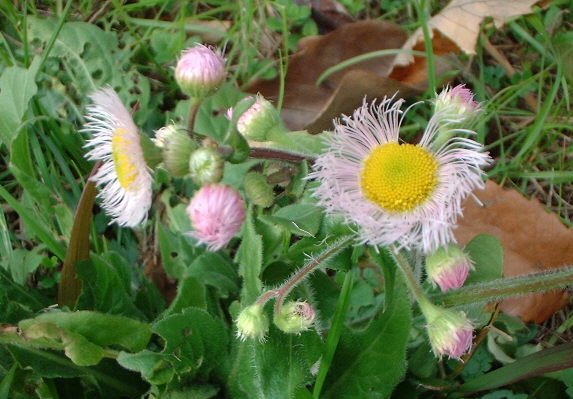 d0091754_1135562.jpg