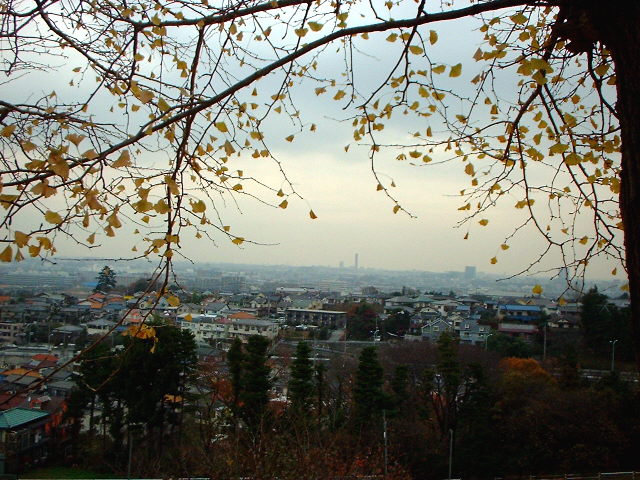 d0091754_5532322.jpg
