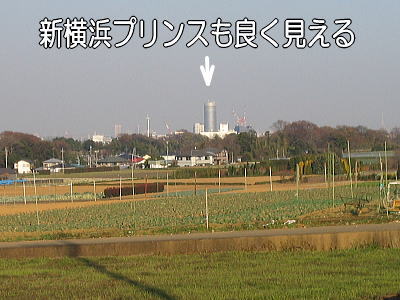 f0118263_0135580.jpg