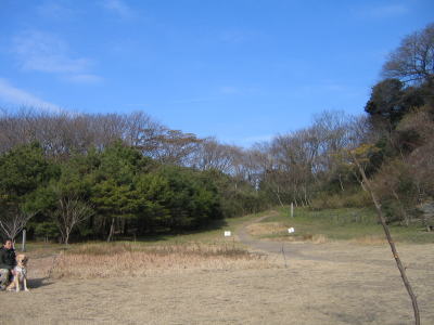 f0118263_9152758.jpg