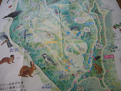 f0118263_974185.jpg