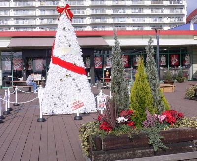 a0063364_0524099.jpg