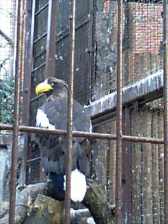 c0032771_16231887.jpg