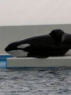 b0104577_183273.jpg