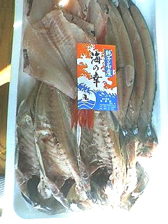 f0054677_6465533.jpg