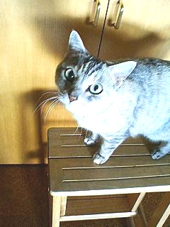 f0054677_6474038.jpg
