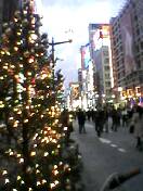 c0035386_1285715.jpg