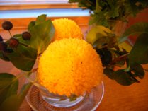 b0083998_2255639.jpg