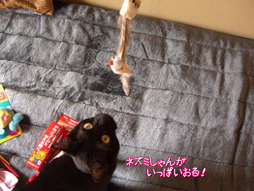 d0065398_0393890.jpg