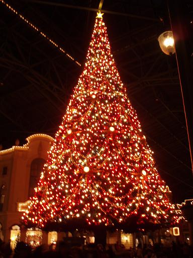 e0106098_2144249.jpg