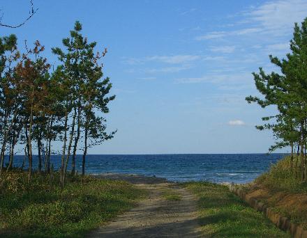 e0077899_87467.jpg