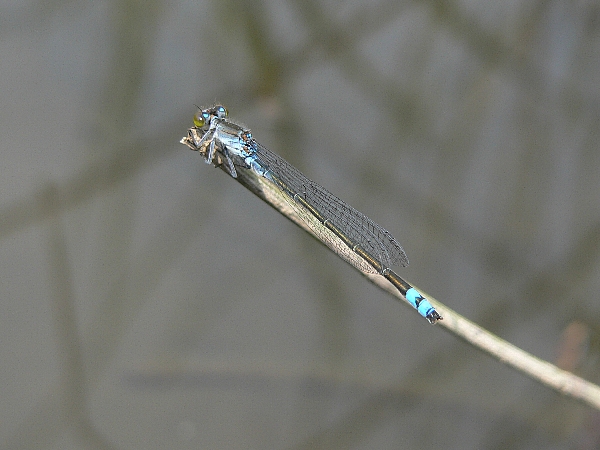e0002314_23334384.jpg