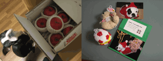 e0080117_0231570.gif