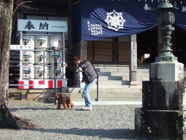 f0076529_20505655.jpg
