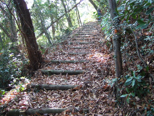 f0076529_2153414.jpg