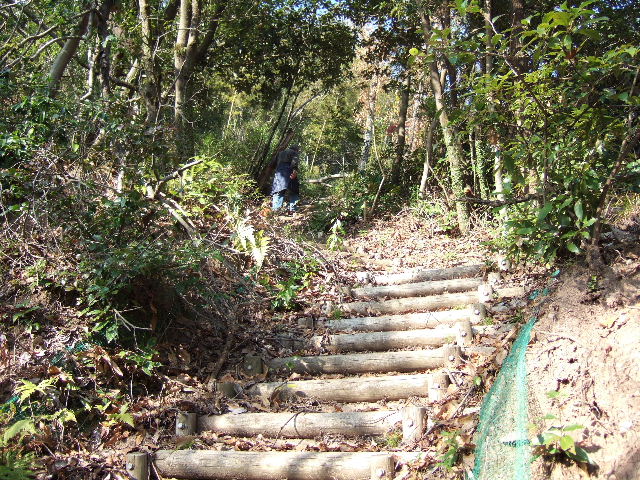 f0076529_215486.jpg