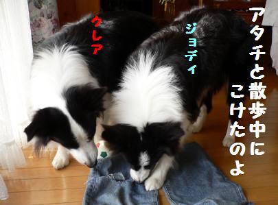d0059230_0135146.jpg
