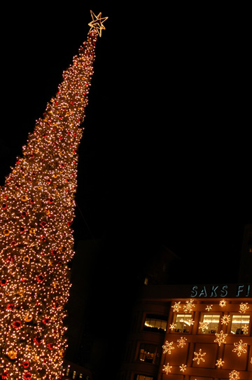 d0008146_8363570.jpg
