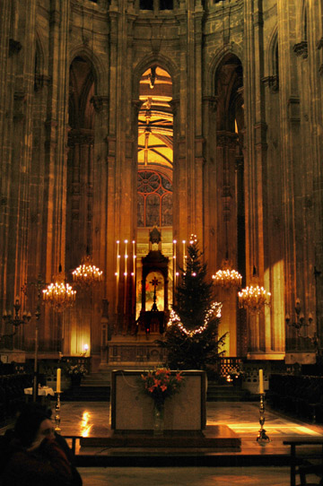 d0008146_8375975.jpg