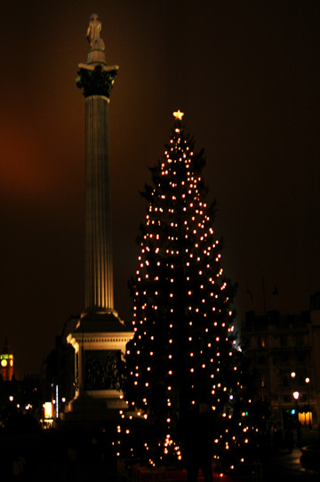 d0008146_843287.jpg
