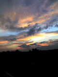 a0001756_102173.jpg