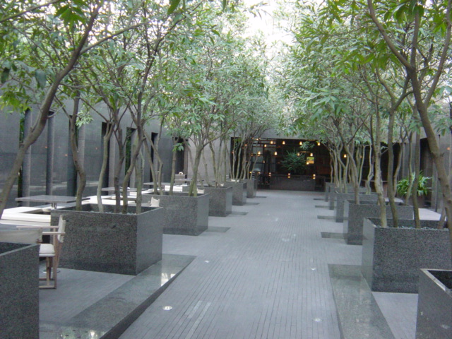 f0036857_15581173.jpg