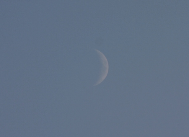 f0061869_1802939.jpg
