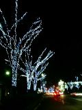d0073271_1115357.jpg