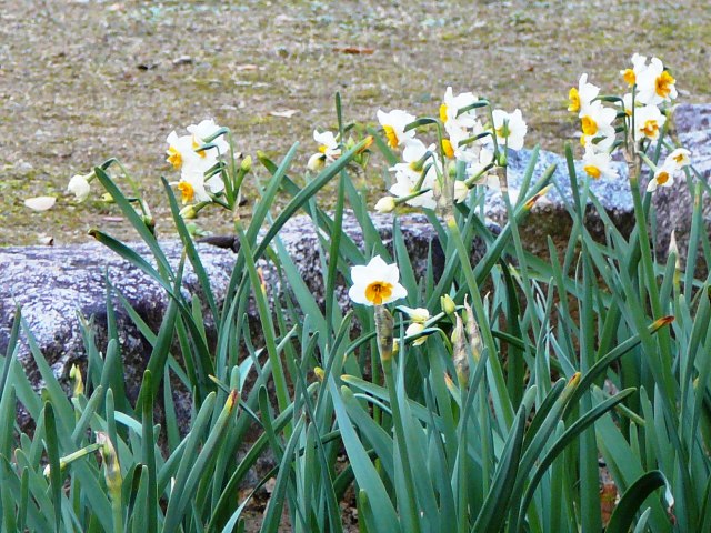 d0042474_14141589.jpg