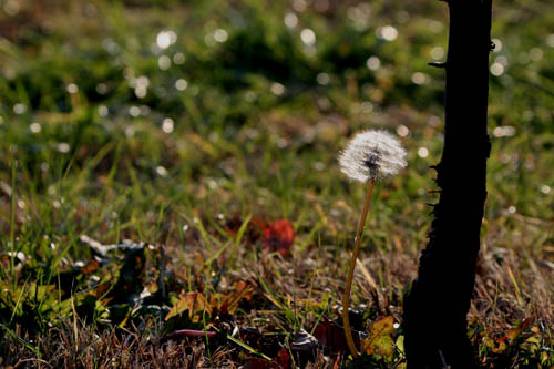 a0083081_544015.jpg