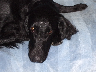 d0070289_2053229.jpg