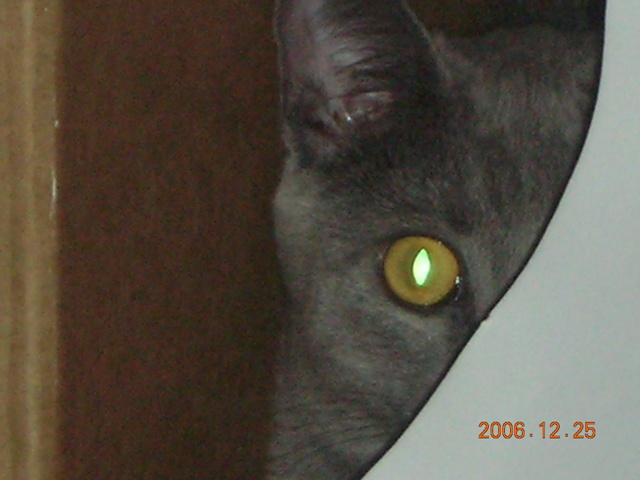 e0103700_4435879.jpg