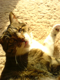c0035001_17463842.jpg