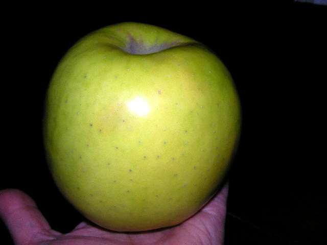 e0061902_1125464.jpg