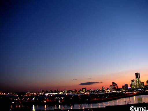b0061004_20212794.jpg