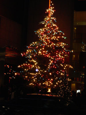 e0026704_1043214.jpg