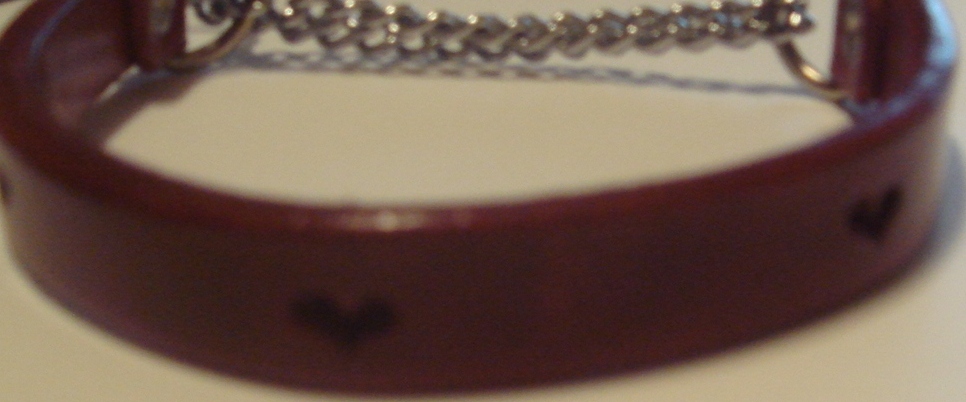 c0041207_11582541.jpg