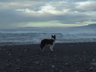 e0060517_22545855.jpg