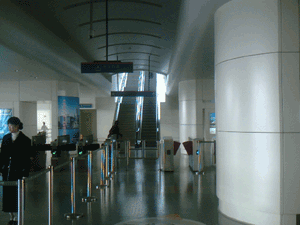 d0038319_1011331.gif