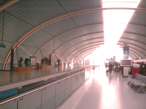 d0038319_10125293.gif
