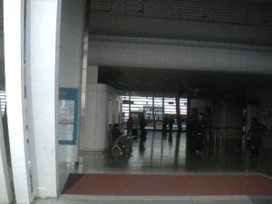 d0038319_9274176.gif