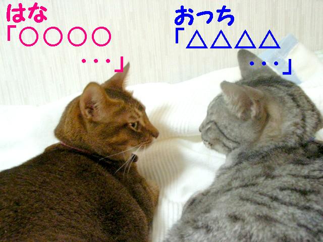 d0081025_2013143.jpg