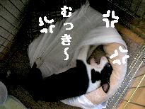 e0103831_12562232.jpg