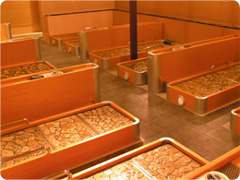 f0080631_10131052.jpg