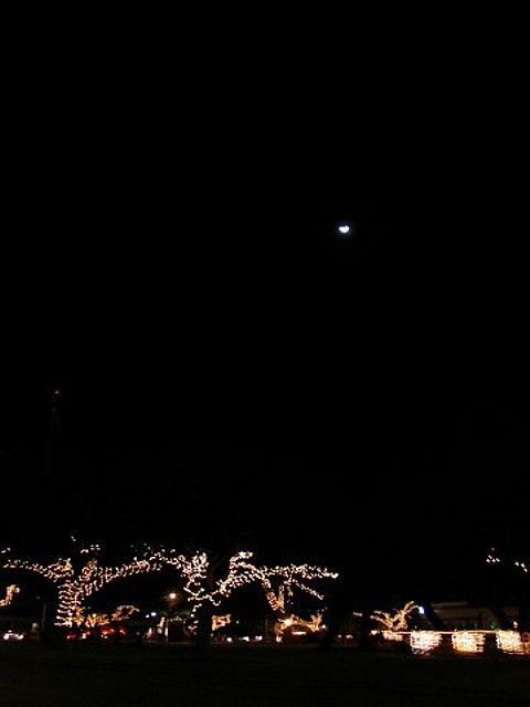 e0022439_2385699.jpg