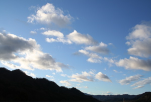 e0009049_1305491.jpg