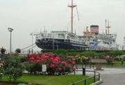 e0045856_1145060.jpg