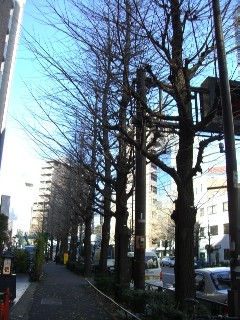 f0110663_17565328.jpg