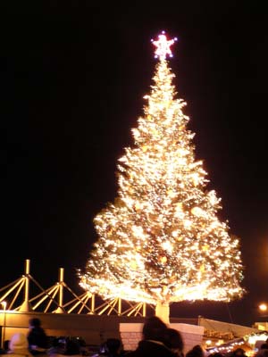 f0092382_13385176.jpg